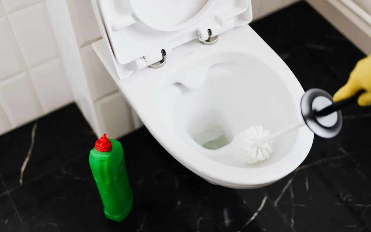 Déboucher les toilettes sans plombier n'est pas si compliqué qu'on le croit