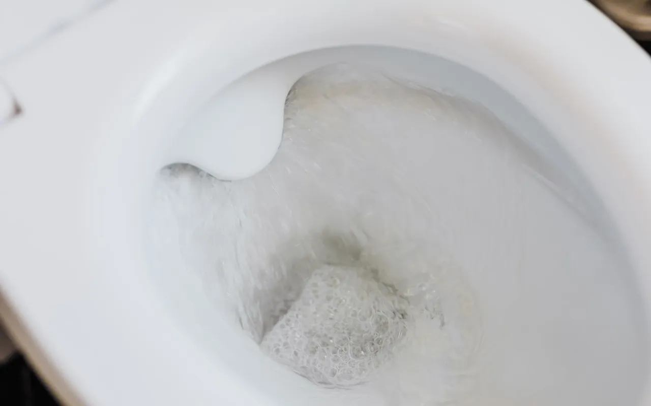 Déboucher un WC sans pompe est plus simple qu'on ne le croit — Le bicarbonate et le vinaigre blanc pour les bouchons tenaces
